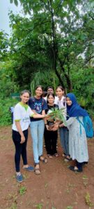 Students planting saplings as part of a tree plantation initiative.